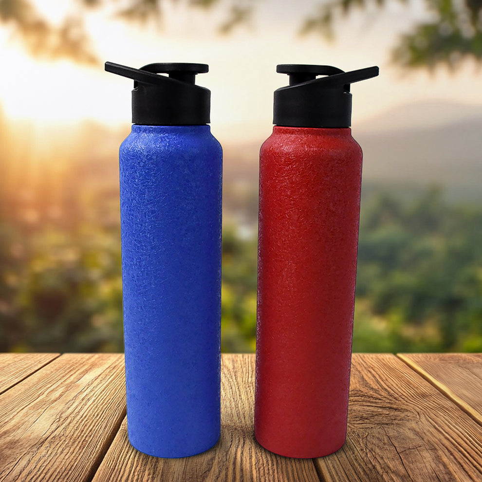 Stainless Steel Water Bottle – 1000ML Fridge Bottle (Mix Colour, 1 Pc)
