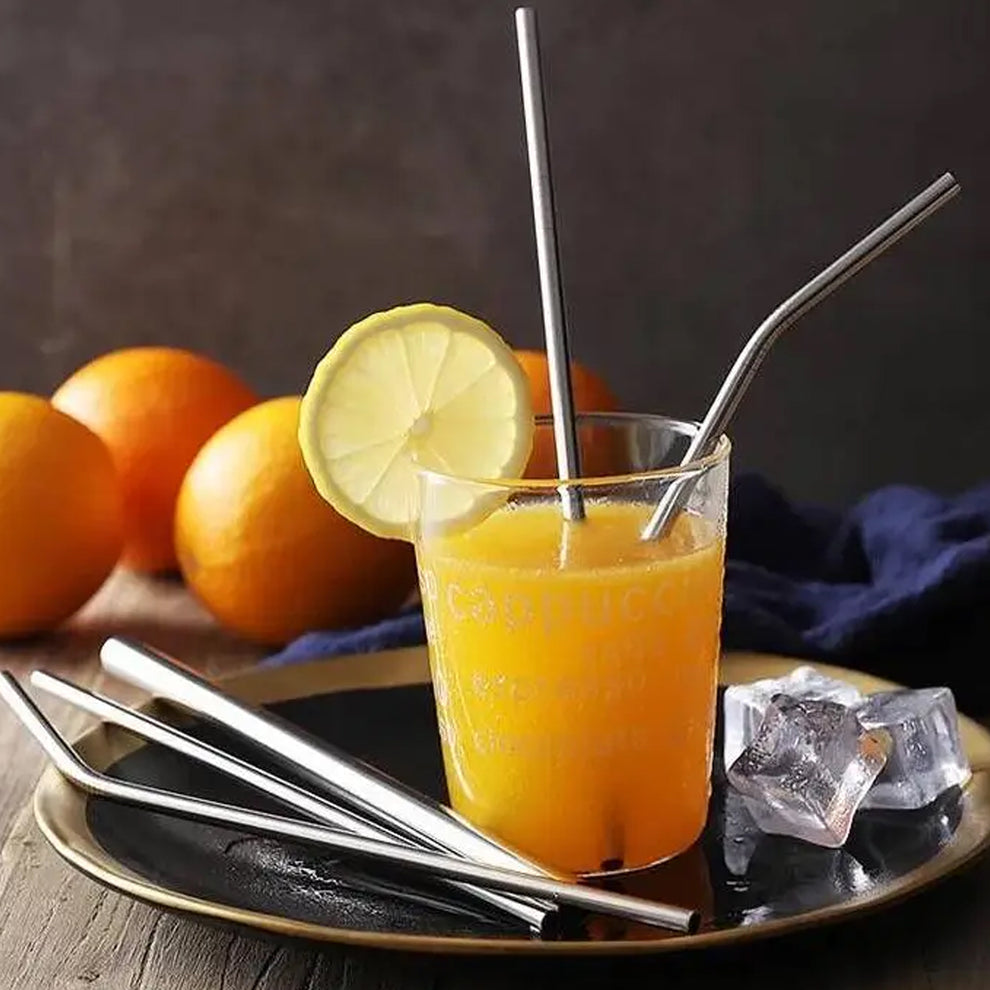 Reusable Stainless Steel Straws with Case (4 Pc Set)