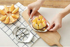 Stainless Steel Apple Cutter / Slicer with 8 Blades &amp; Handle