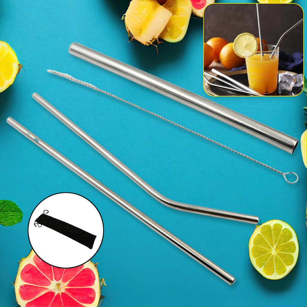 Reusable Stainless Steel Straws with Case (4 Pc Set)