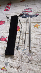 Reusable Stainless Steel Straws with Case (4 Pc Set)