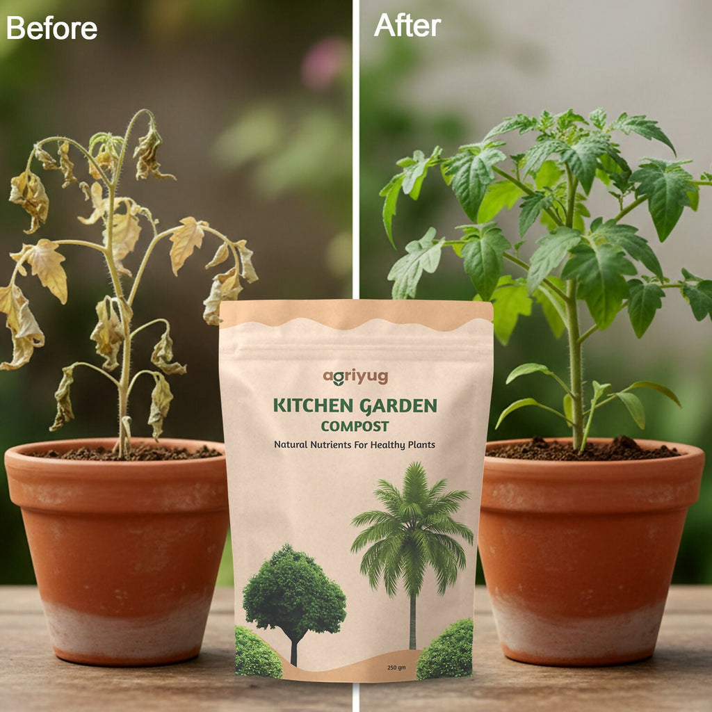 Kitchen Garden Compost, Natural Nutrients For Healthy Plants (250 g)