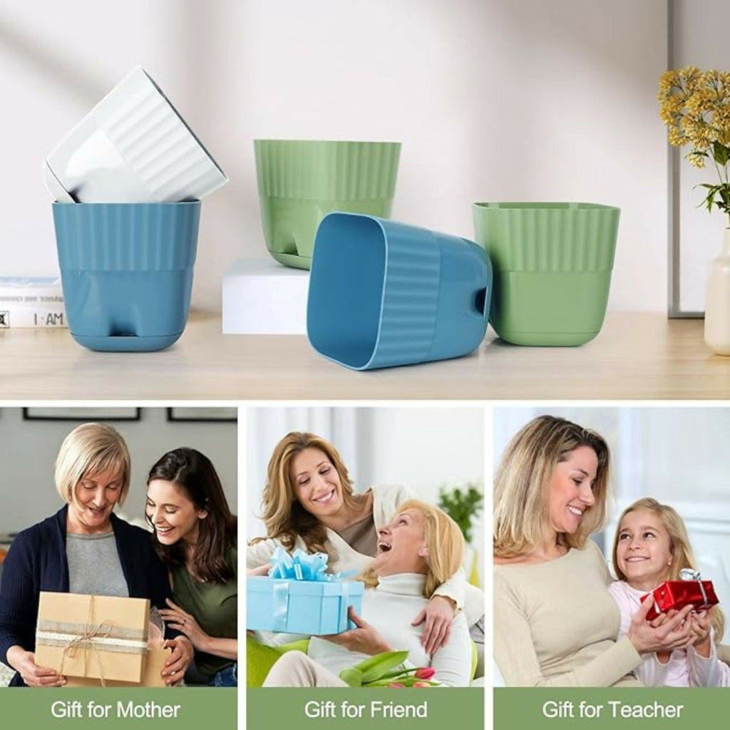 Beautiful Square Flower Pot (Pack Of 5)