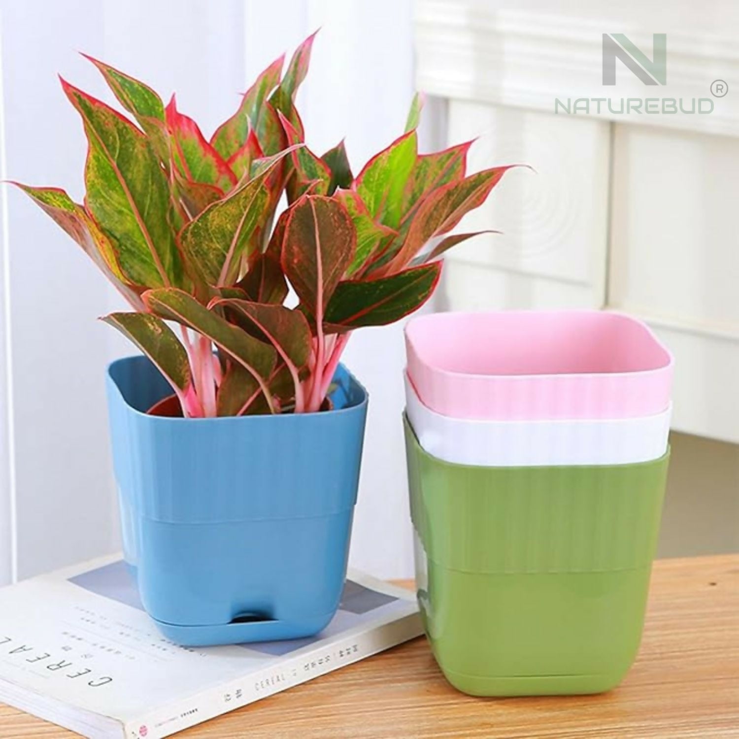 Beautiful Square Flower Pot (Pack Of 5)