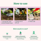 Organic Soil Fertilizer Granules (1 Kg Pack)