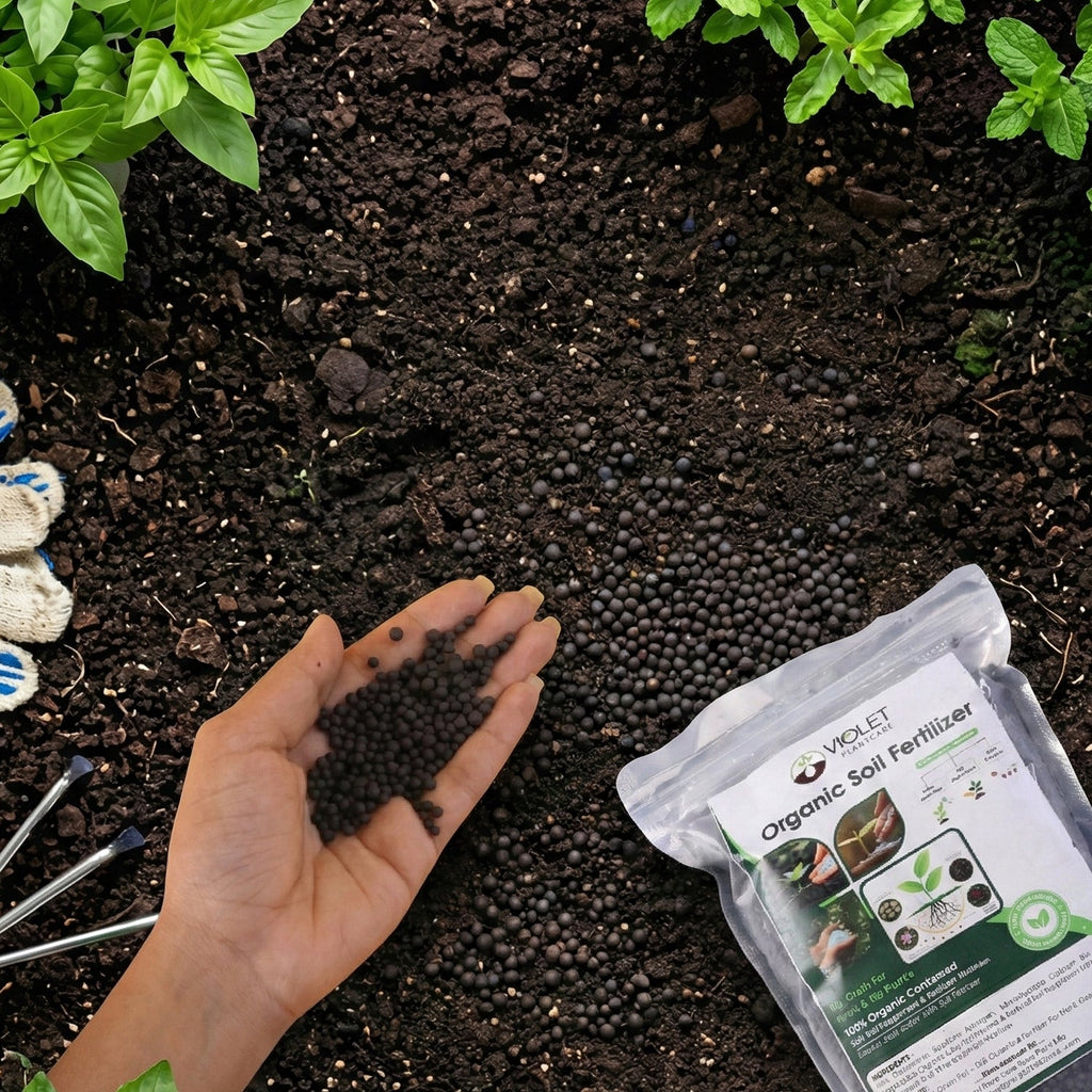 Black Organic Soil Fertilizer For Gardening (1 Pc, 1 Kg)