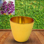 Flower Valencia (Pot) Home And Outdoor (1 Pc)