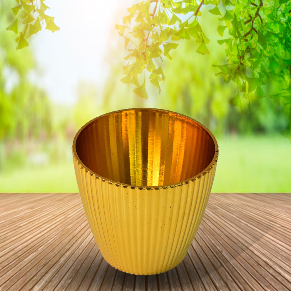 Flower Valencia (Pot) Home And Outdoor (1 Pc)