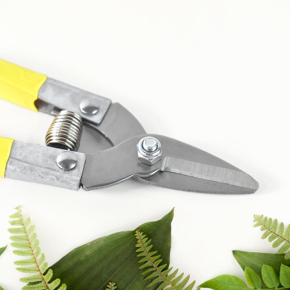 Precision Micro Garden Snip Pruning Scissor