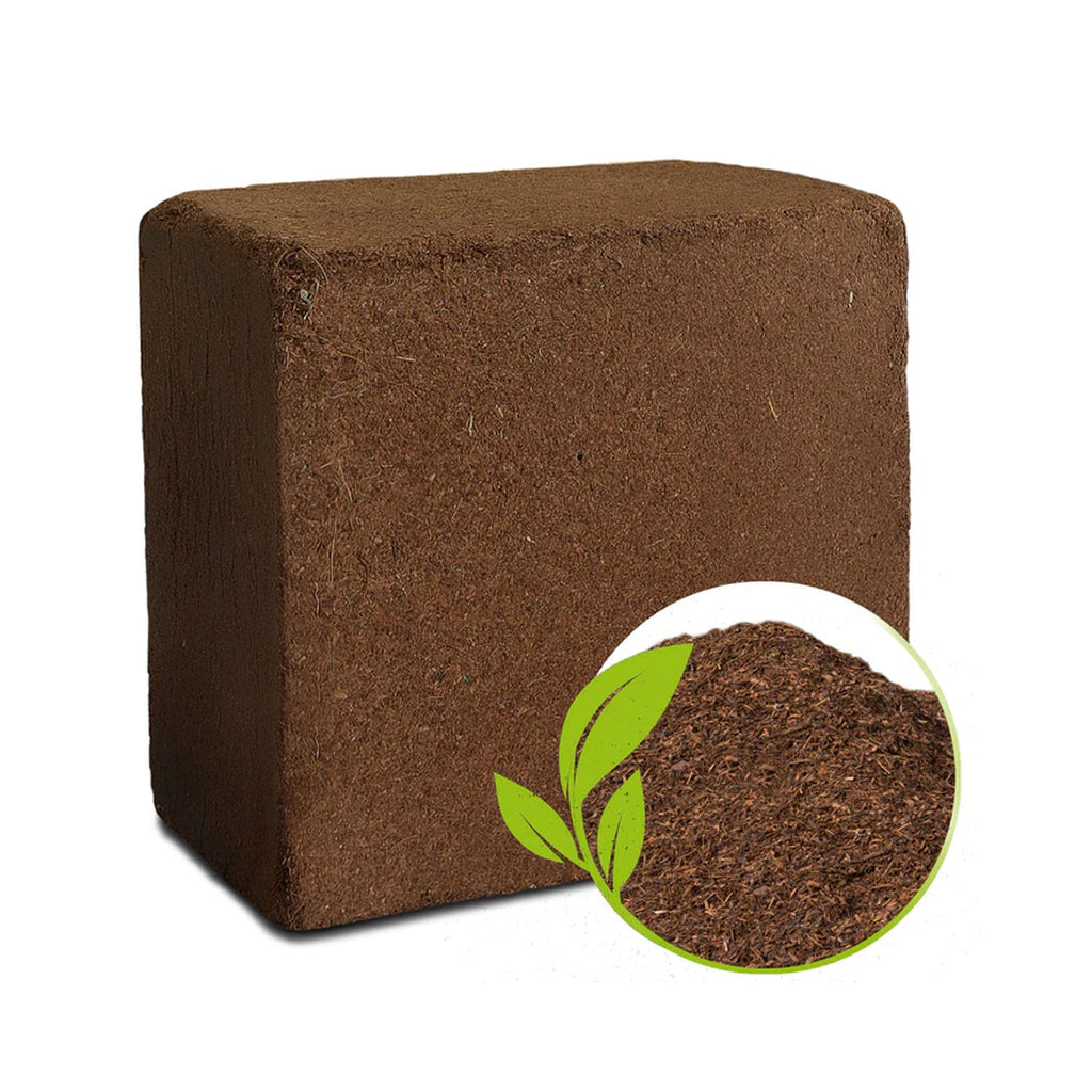 Cocopeat Block Organic Fertilizer & Potting Mixture 1kg
