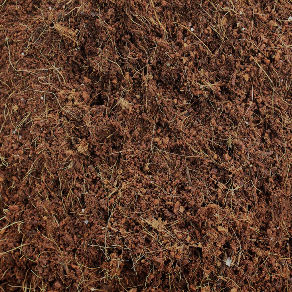 Cocopeat Block Organic Fertilizer & Potting Mixture 1kg