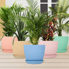 Plant planter Pot With Bottom Tray (5 Pcs Set)