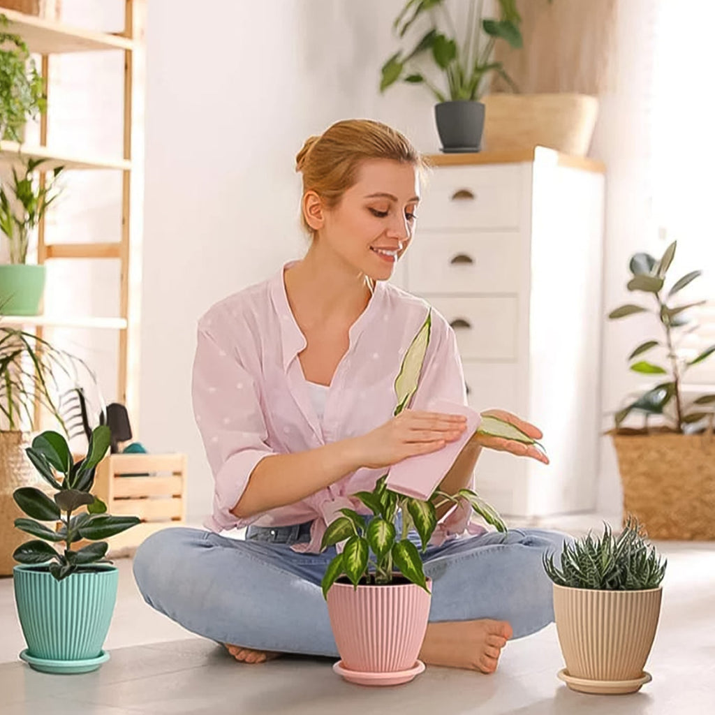 Plant planter Pot With Bottom Tray (5 Pcs Set)