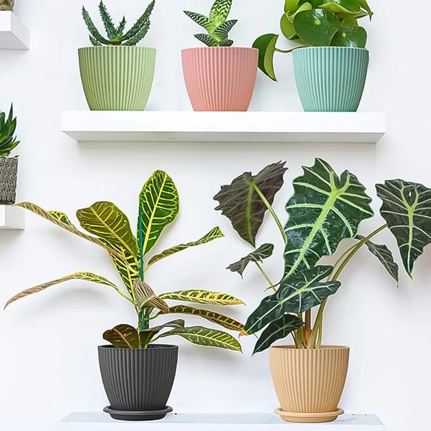 Plant planter Pot With Bottom Tray (5 Pcs Set)