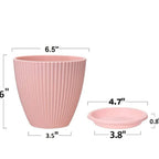 Plant planter Pot With Bottom Tray (5 Pcs Set)