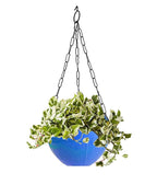 Planter hanging pot with Hanging Chain for Houseplants Garden Balcony Decoration