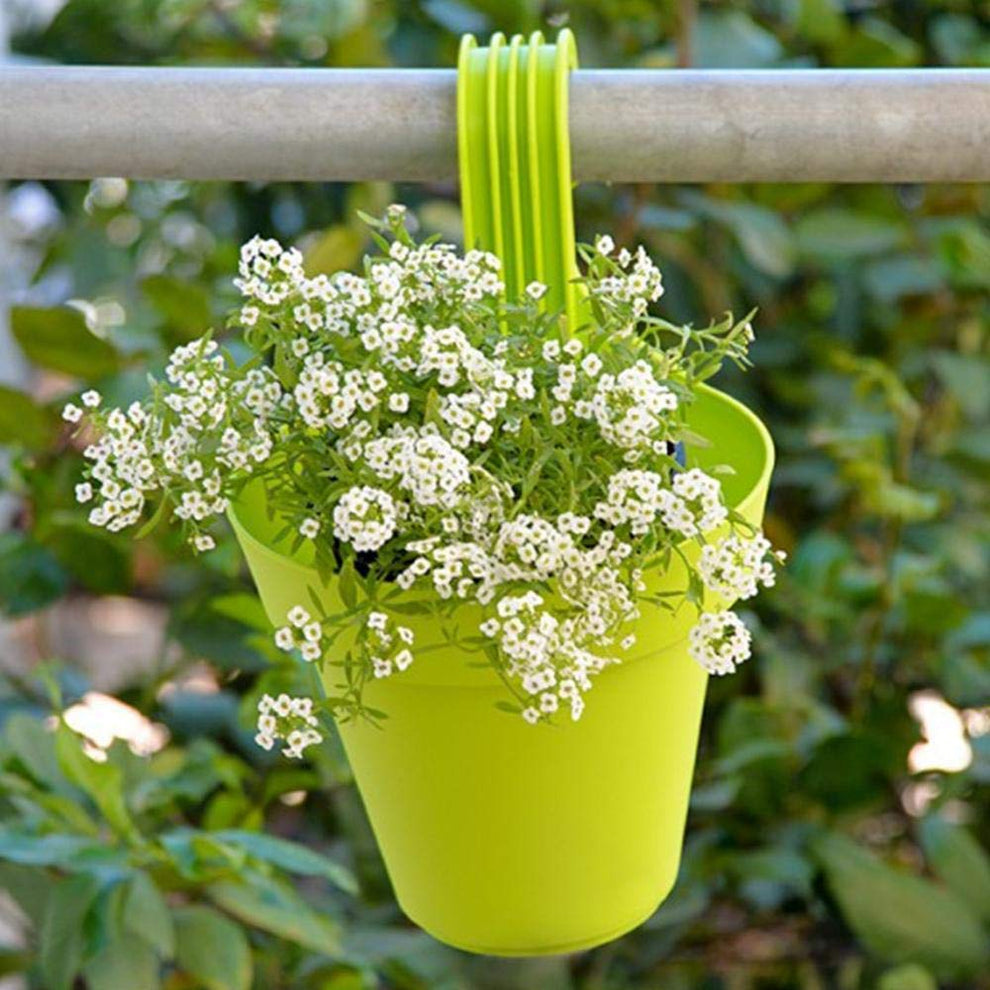 Hanging Planter Pot, Multicolour