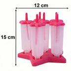 Ice Cream Molds With Lid (1 Set / 6 Pc)