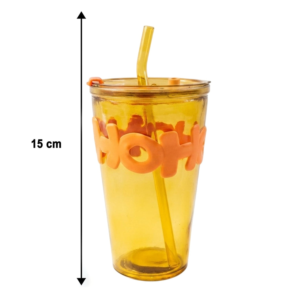 Glass Tumbler With Lid And Straw (450 ML)