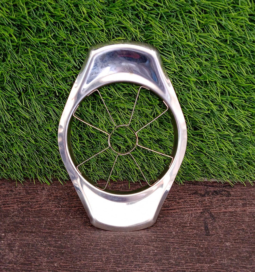 Stainless Steel Apple Cutter / Slicer with 8 Blades &amp; Handle